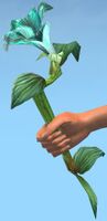 Verdant Focus.jpg