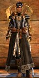 Astral Ward Protector norn female 2.jpg