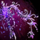 Branded Relic Backpiece.png