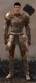 Ebon Vanguard Warrior M3 (hammer).jpg