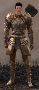 Ebon Vanguard Warrior M3 (hammer).jpg