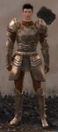 Ebon Vanguard Warrior M3 (hammer).jpg