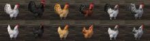 Endless Mystery Fowl Tonic.jpg