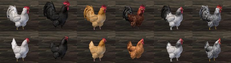 File:Endless Mystery Fowl Tonic.jpg