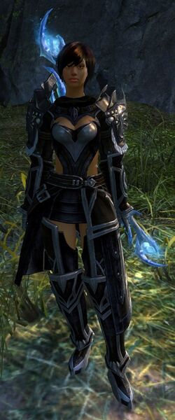 File:Guard (PvP) (blue).jpg