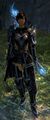 Blue team (archer)