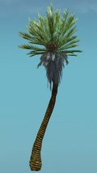 Island Tree (Tall).jpg