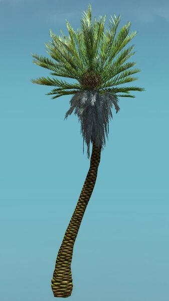 File:Island Tree (Tall).jpg