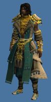 Mini Shorewatcher Salomon.jpg