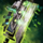 Scientific Axe.png
