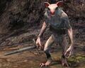 Skritt Forager (white fur).jpg