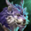 Unyielding Haechi Warclaw.png