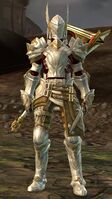White Mantle Knight appearance.