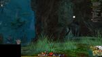 Aspect Gatherer 13 2021.jpg