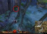 Carrot Collector 7 map.jpg