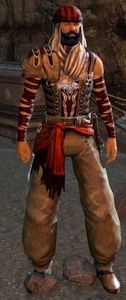 Desert Bandit 6.jpg