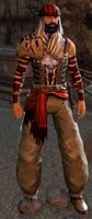 Desert Bandit 6.jpg