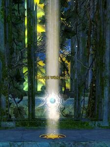 Echovald Wilds Insight- Aspenwood Passageway.jpg