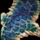 Frayed Hide.png