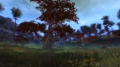 Greatheart Weald.jpg