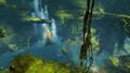 Waterfalls
