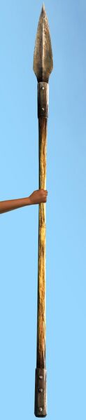 File:Iron Polearm.jpg