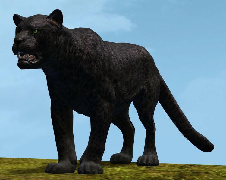 File:Jaguar.jpg