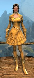Appearance on light armor.