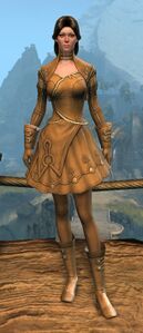 Appearance on light armor.