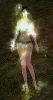 Sacred Flame.jpg