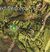 Tangled Depths Hidden Chest 5.jpg