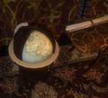 A common household globe of Tyria, depicting Tyria and Elona.
