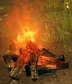 Cooking Fire.jpg