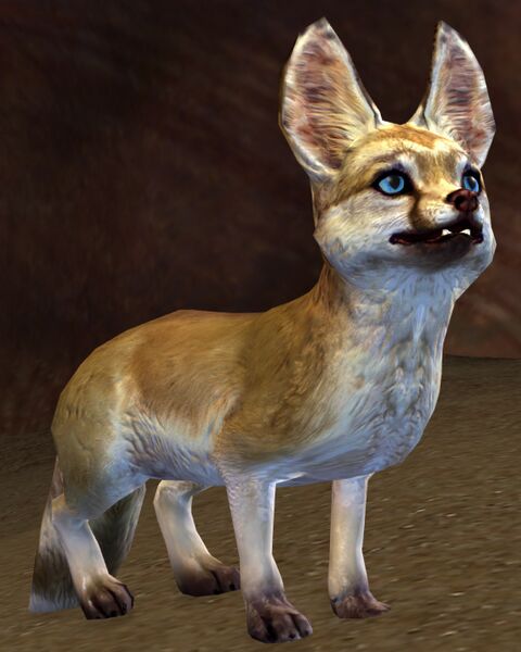File:Desert Fox.jpg
