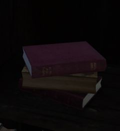 Journal (Bastion of the Penitent).jpg