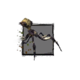 Juvenile Jungle Spider.png