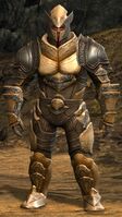 Lionguard norn heavy 4 (weaponless).jpg
