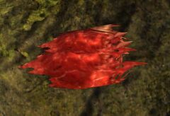 Meat (Starlit Weald).jpg