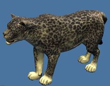 Mini Snow Leopard.jpg