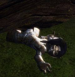 Pact Scout (Spirit Vale).jpg