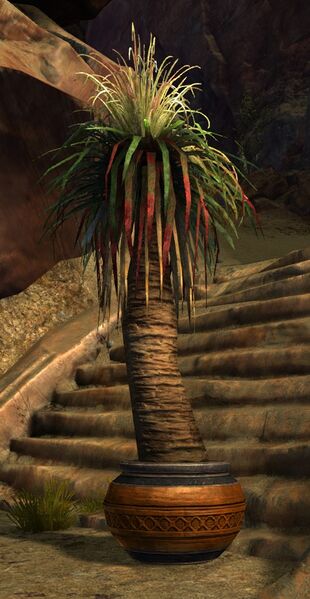 File:Potted Palm.jpg