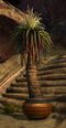 Potted Palm.jpg