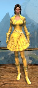 Appearance on light armor.