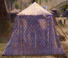 Shaking Tent.jpg