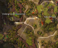 Map of bouncing mushroom location to get to the Lost Bag.