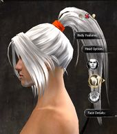 Unique human male hair side 14.jpg