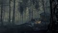 Whisper in the Dark 08.jpg