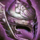 Ardent Glorious Plate Helm.png