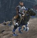 Droknar's Dwarf 1 (rider).jpg