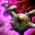 Emergency Release Valve.png